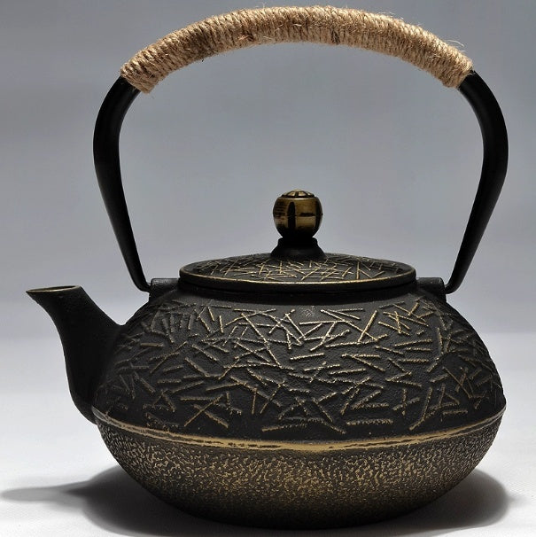 Cast Iron Teapot
